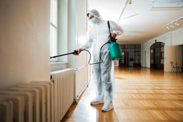 Best Best Pest Control Companies  in Euharlee, GA