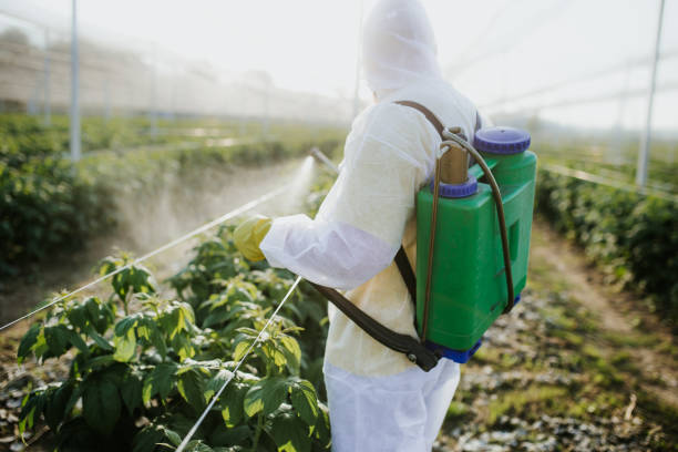 Best Insect Control  in Euharlee, GA